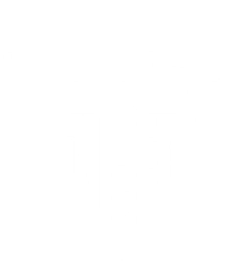 Talanoa Hufanga logo